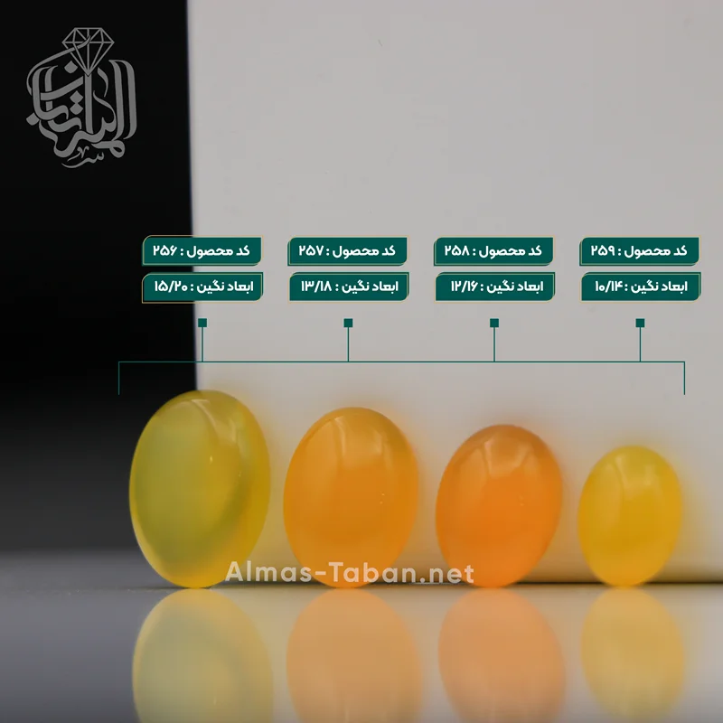 سنگ تک شرف الشمس